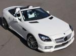 Mercedes-Benz CB25S by Carlsson 2012 года